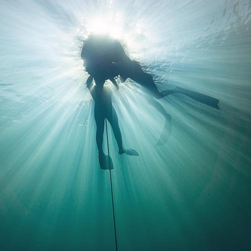 Coron Barracuda Lake diving