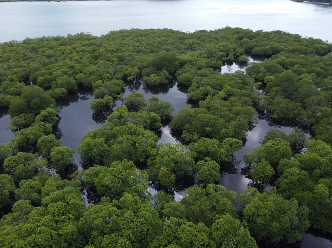 Kingfisher Park Coron