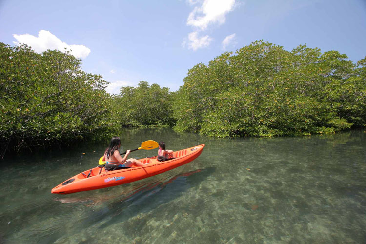 coron-paddling-tour-mad-about-paddling-river-101 Kayaking Coron